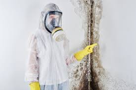 Trusted Sevierville, TN Mold Removal Experts